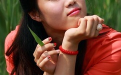 花粉少女注意报种子